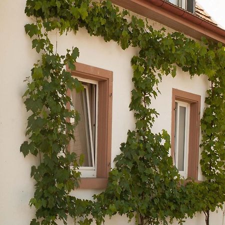 Ferienhaus Am Kuenstleratelier Рігель Екстер'єр фото